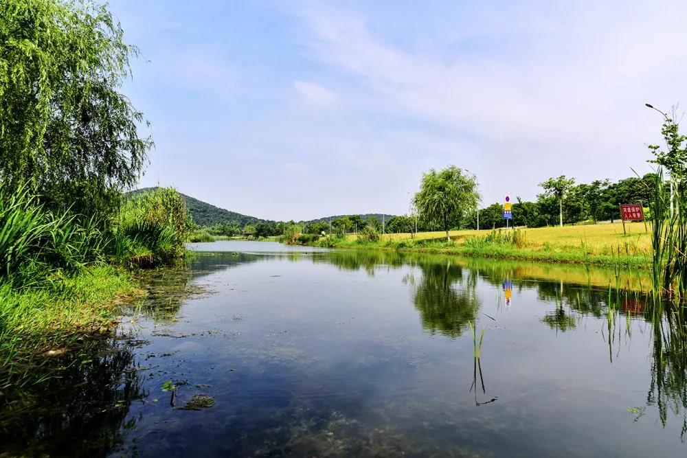 河長制平臺(tái)